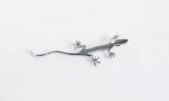 Gekko merkki